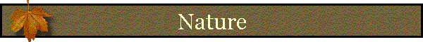 Nature