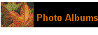 Photo Albums