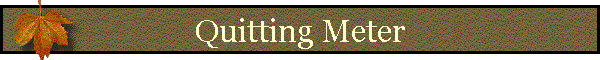 Quitting Meter