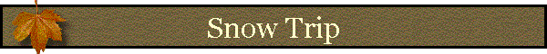 Snow Trip